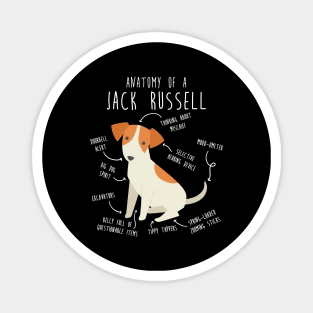 Jack Russell Terrier Dog Anatomy Magnet